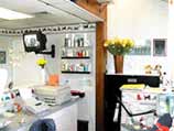 Hewlett Animal Hospital Gallery