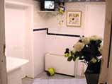 Hewlett Animal Hospital Gallery