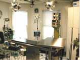 Hewlett Animal Hospital Gallery