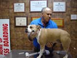 Hewlett Animal Hospital Gallery