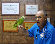 Hewlett Animal Hospital